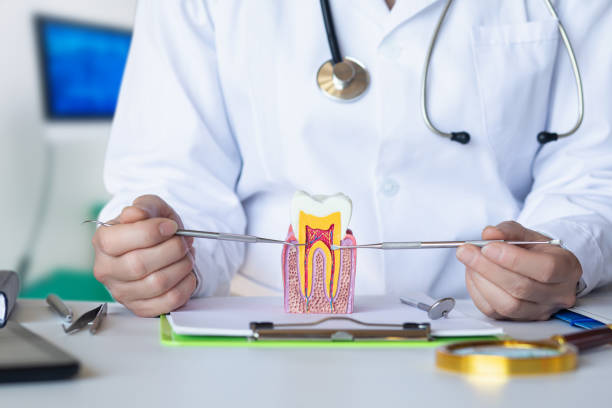 Best Emergency Root Canal Treatment in New Sarpy, LA